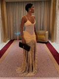 Robe Longue Transparente à Découpes